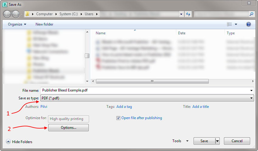 Publisher Save As PDF Example