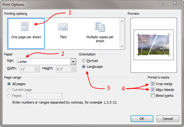 Publisher Save As PDF Print Options